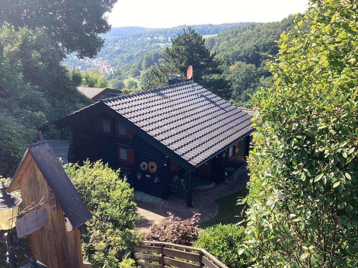 Chalet Spessart Dammbach 외부 사진