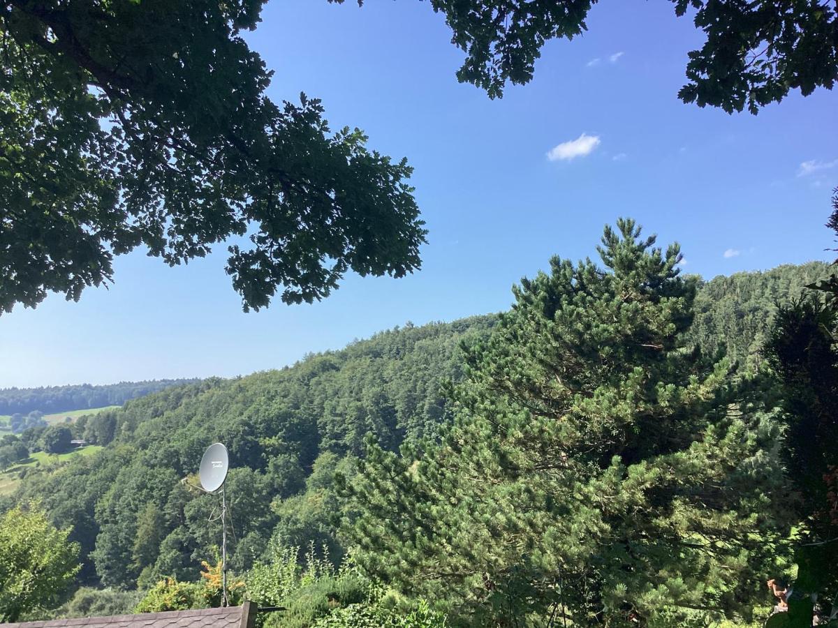 Chalet Spessart Dammbach 외부 사진