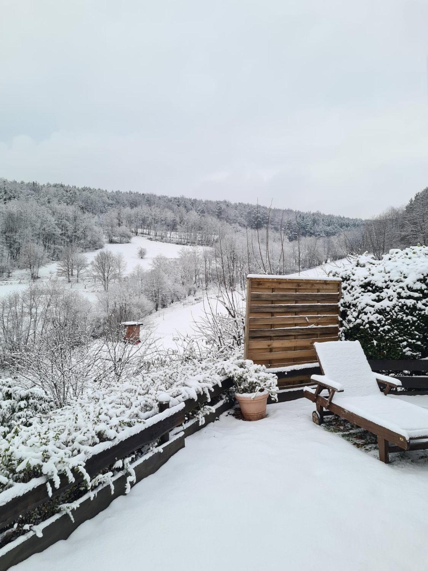 Chalet Spessart Dammbach 외부 사진